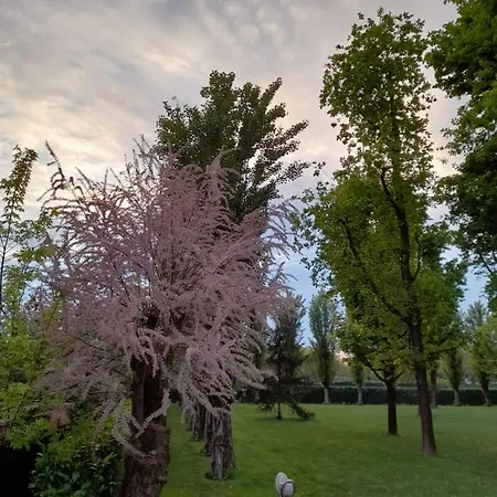 Bed & Breakfast Km 198 - Letto E Colazione