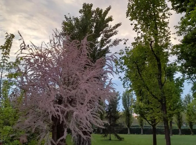 Bed & Breakfast Km 198 - Letto E Colazione